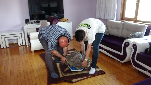 Foto - Tarlasında şans eseri buldu! Tokatlı adam milyoner oldu