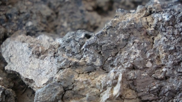 Foto - Tarlasında şans eseri buldu! Tokatlı adam milyoner oldu