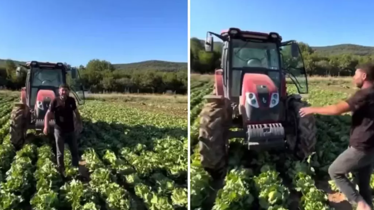Tarlasındaki ürüne 2 lira teklif edilen çiftçi bakın ne yaptı! Gören neye uğradığını şaşırdı