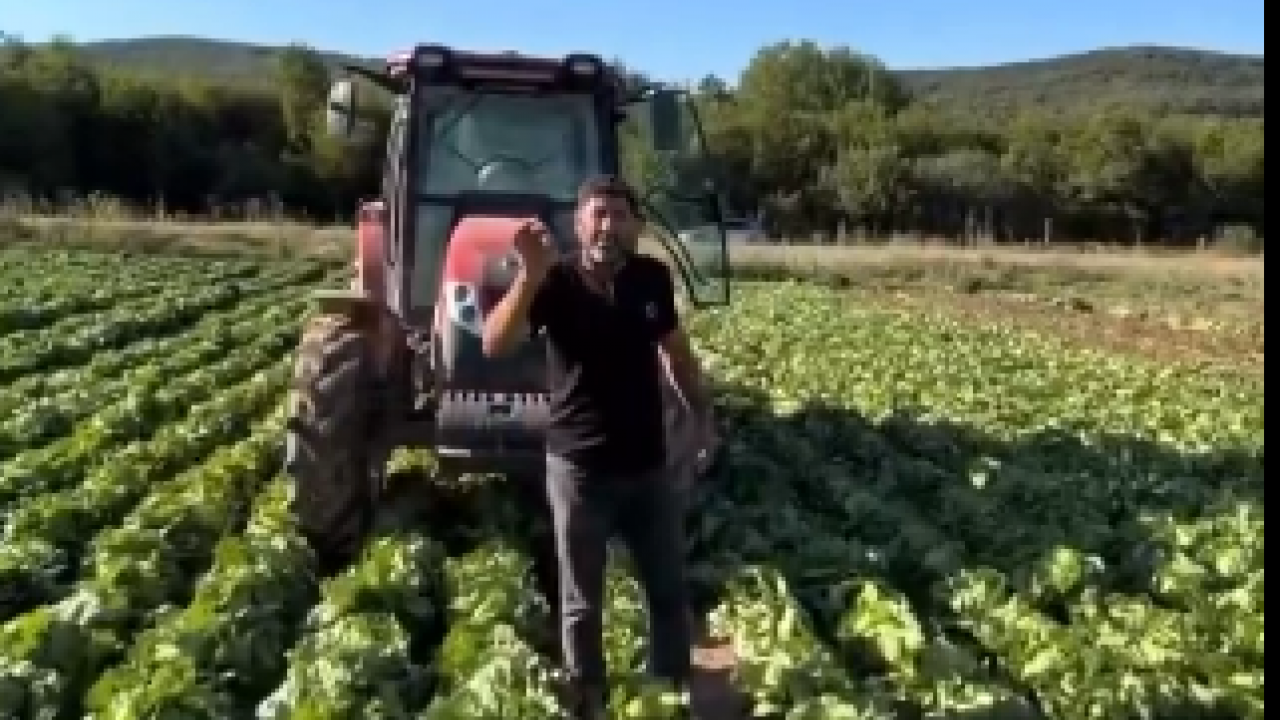 Foto - Tarlasındaki ürüne 2 lira teklif edilen çiftçi bakın ne yaptı! Gören neye uğradığını şaşırdı