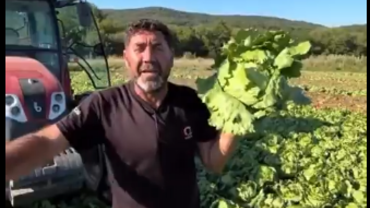 Foto - Tarlasındaki ürüne 2 lira teklif edilen çiftçi bakın ne yaptı! Gören neye uğradığını şaşırdı