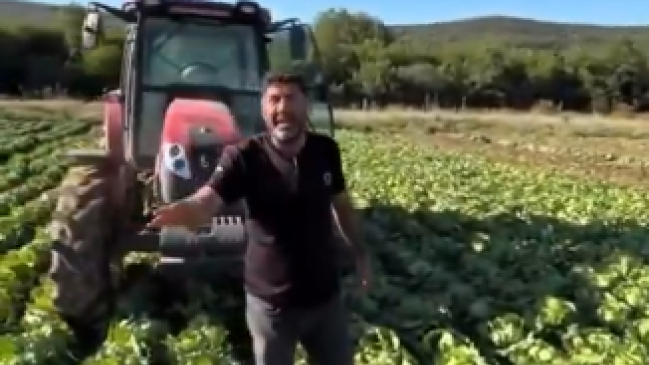 Foto - Tarlasındaki ürüne 2 lira teklif edilen çiftçi bakın ne yaptı! Gören neye uğradığını şaşırdı