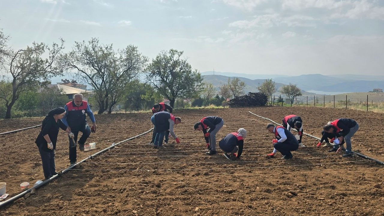Foto - Tarlasını ekemeyen 70 yaşındaki Şehriban teyzenin imdadına Tarım İl Müdürlüğü ekipleri yetişti