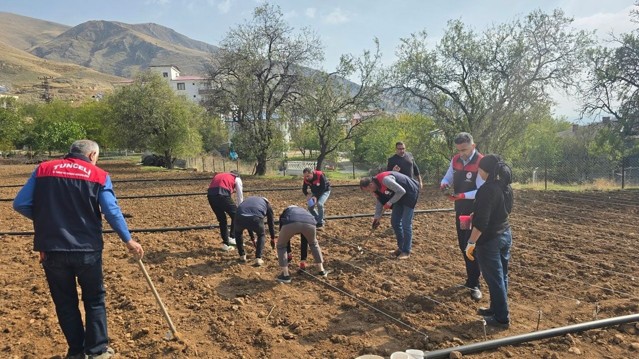 Tarlasını ekemeyen 70 yaşındaki Şehriban teyzenin imdadına Tarım İl Müdürlüğü ekipleri yetişti