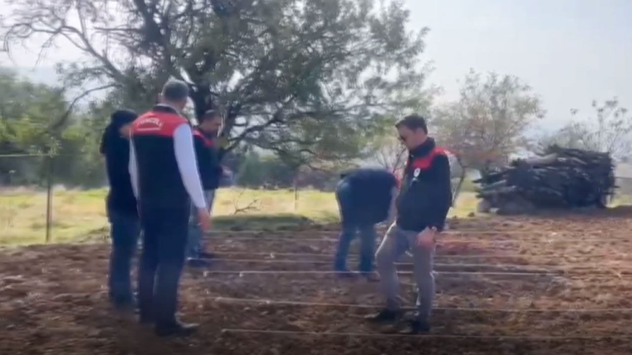 Foto - Tarlasını ekemeyen 70 yaşındaki Şehriban teyzenin imdadına Tarım İl Müdürlüğü ekipleri yetişti