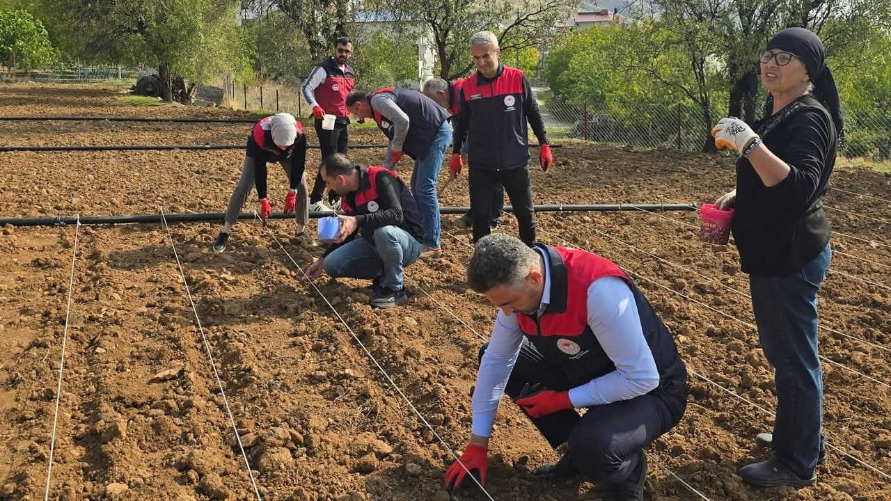 Foto - Tarlasını ekemeyen 70 yaşındaki Şehriban teyzenin imdadına Tarım İl Müdürlüğü ekipleri yetişti