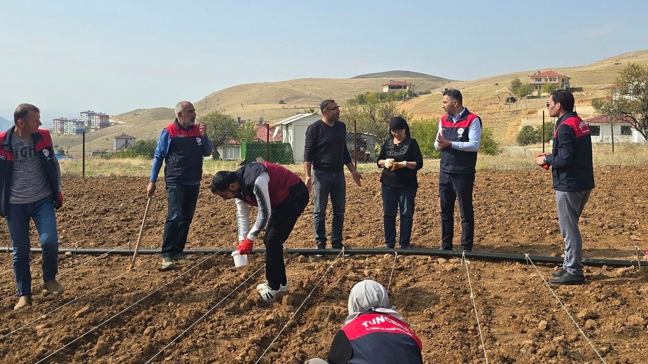 Foto - Tarlasını ekemeyen 70 yaşındaki Şehriban teyzenin imdadına Tarım İl Müdürlüğü ekipleri yetişti
