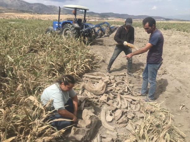Foto - Tarlasını süren çiftçiyi şoke eden olay! Topraktan fışkırdı