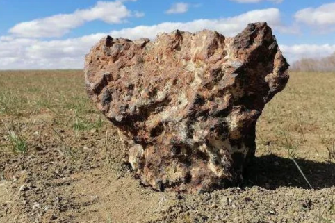 Foto - 'Tarlasını sürerken milyoner oldu' deniyordu! 3 milyonluk teklifi reddeden adam gelen haberle sarsıldı