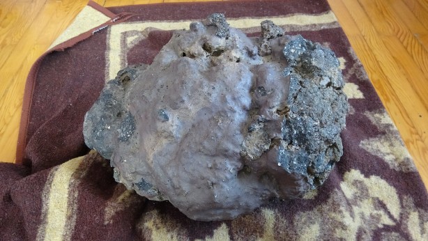 Foto - 'Tarlasını sürerken milyoner oldu' deniyordu! 3 milyonluk teklifi reddeden adam gelen haberle sarsıldı