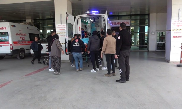 Foto - Tarlaya giren hayvan kavgası kanlı bitti