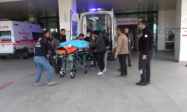 Tarlaya giren hayvan kavgası kanlı bitti