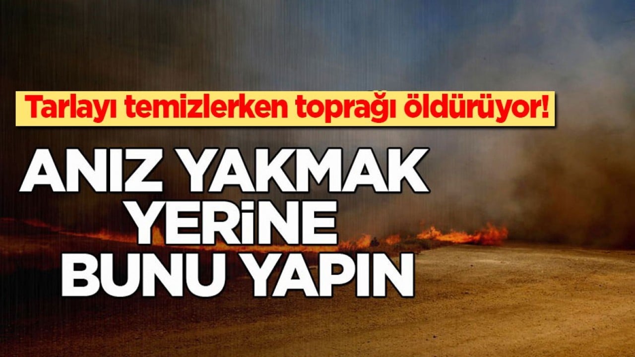 Tarlayı temizlerken toprağı öldürüyor! Anız yakmak yerine bunu yapın