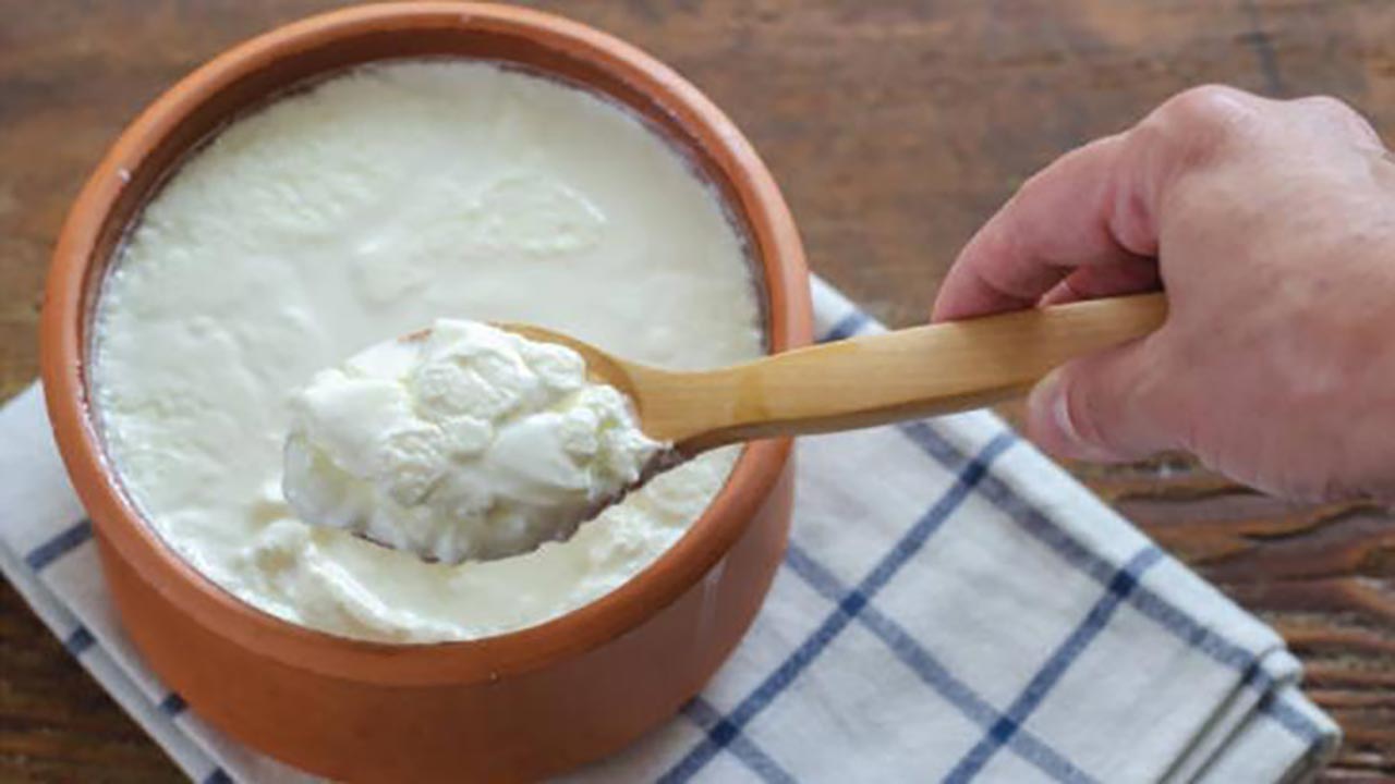 Foto - Taş gibi yoğurdun sırrı! 5 litre süte sadece 1 kaşık yetiyor
