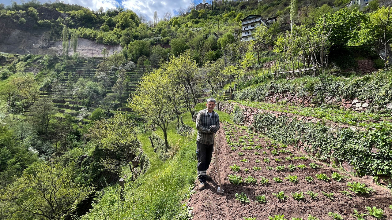Taş taş örerek dağı tarlaya çevirdi 