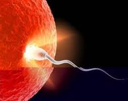 Foto - Taşıyıcı annelik caiz midir? Taşıyıcı annelik nedir?