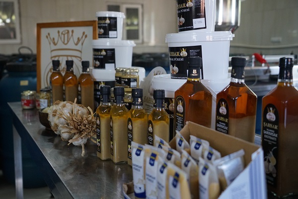 Foto - Taşköprü sarımsağından öyle bir şey ürettiler ki! Adeta her derde deva