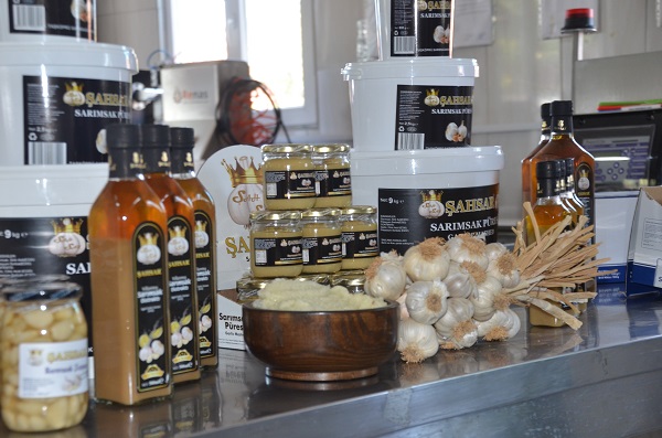 Foto - Taşköprü sarımsağından öyle bir şey ürettiler ki! Adeta her derde deva