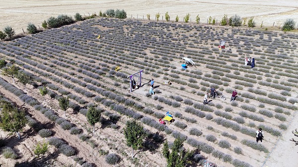 Foto - Tatilde gördü köyüne dönüp aynısını yaptı! 