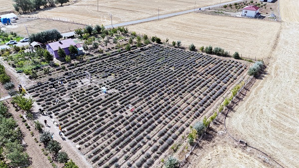Foto - Tatilde gördü köyüne dönüp aynısını yaptı! 