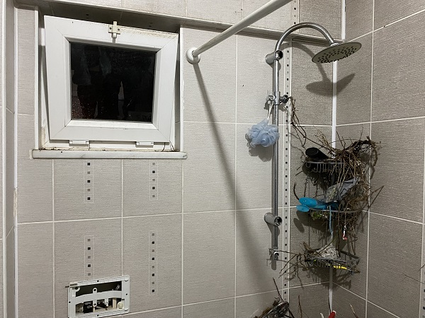 Foto - Tatilden dönen adam hayatının şokunu yaşadı! 15 günde ev bu hale dönmüş