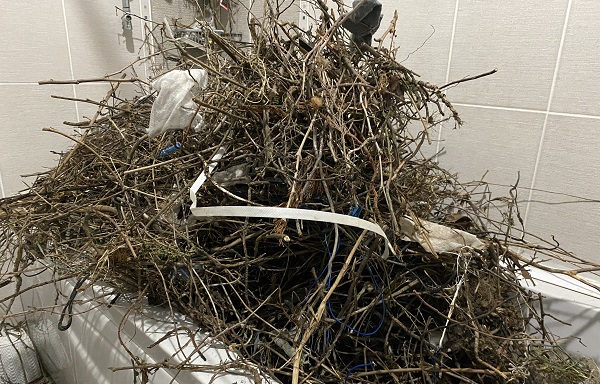 Tatilden dönen adam hayatının şokunu yaşadı! 15 günde ev bu hale dönmüş