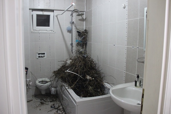 Foto - Tatilden dönen adam hayatının şokunu yaşadı! 15 günde ev bu hale dönmüş