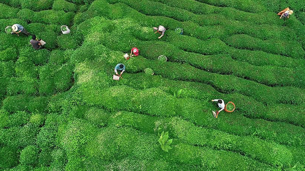 Foto - Tatilin yeni rotası! Ege ve Akdeniz’in kalabalığına karşı Rize’nin sessizliği