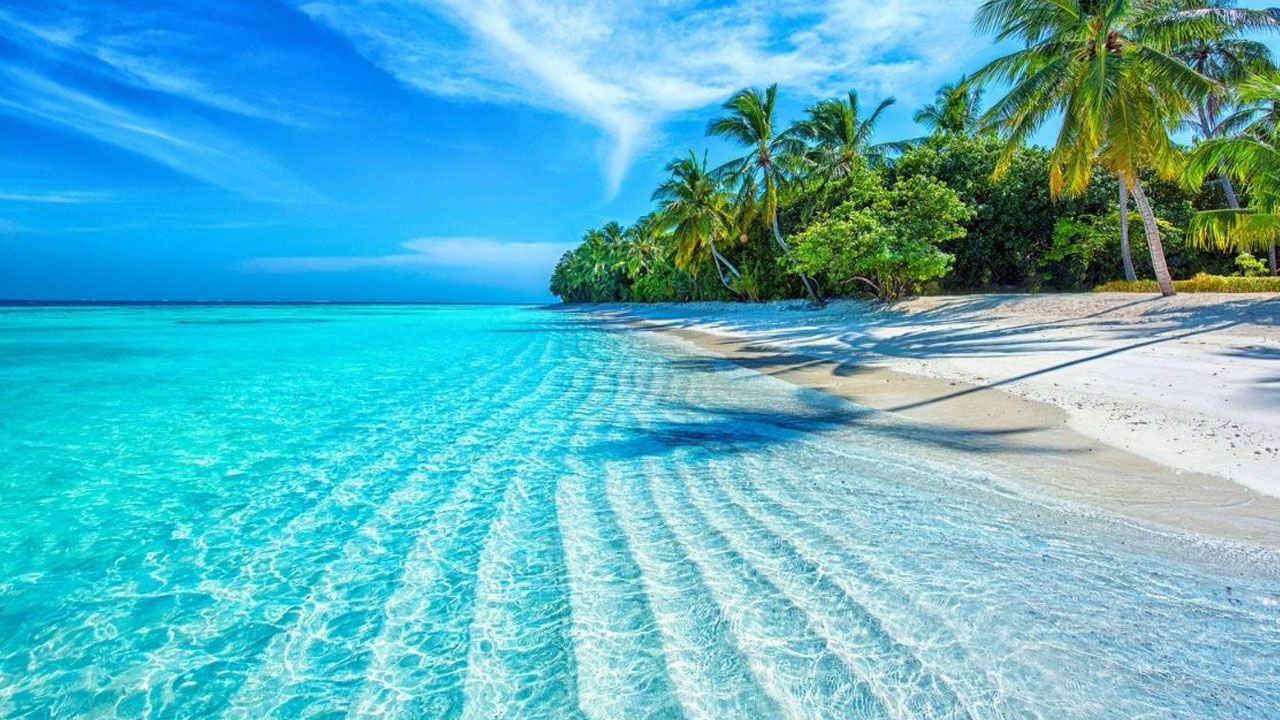 Tatiliniz zehir olmasın! Yola çıkmadan önce mutlaka almanız gereken önlemler