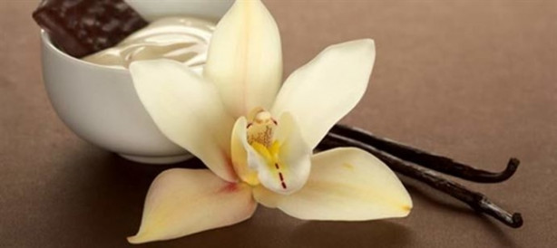 Foto - Tatlı isteğinizi vanilya çayıyla bastırın!