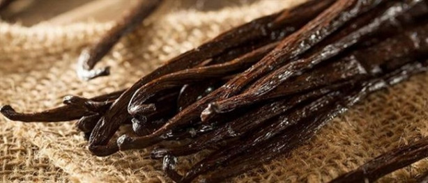 Foto - Tatlı isteğinizi vanilya çayıyla bastırın!