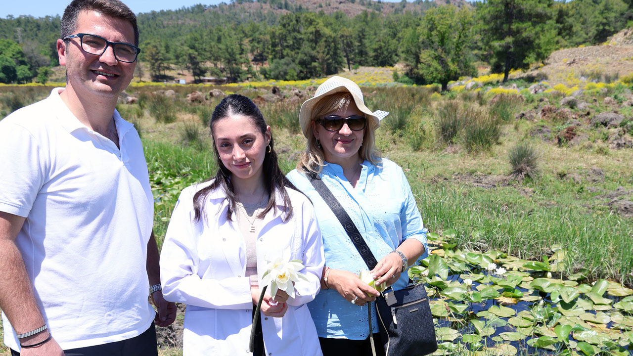 Foto - Tatlı, tuzlu ve kaplıca suyunda büyüyor! Bu çiçeğin dünyada benzeri yok