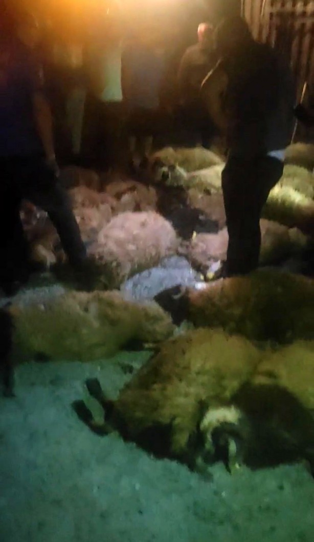 Foto - Tatvan'da tır devrildi