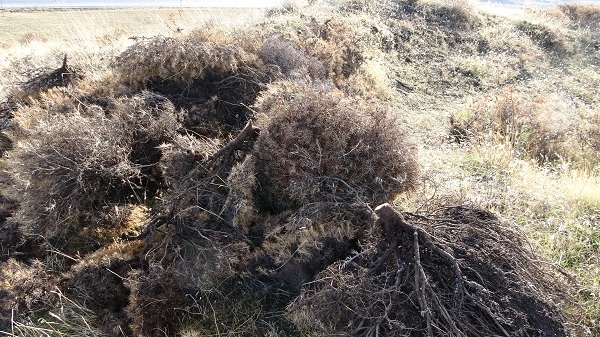 Foto - Tatvan'da zorlu mesai başladı