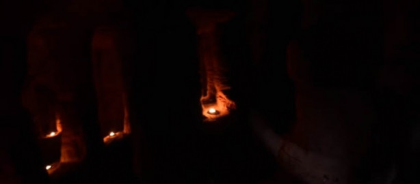 Foto - Tavşan deliğinden öyle bir şey çıktı ki herkes şok oldu!