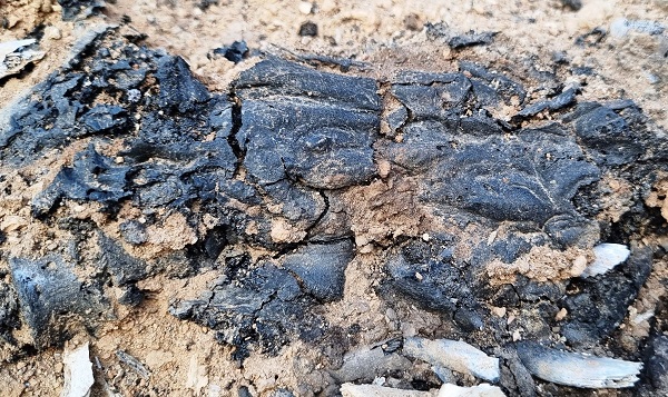 Foto - Tavşanlı Höyük'te şaşırtan keşif! Tam 3 bin 700 yıllık