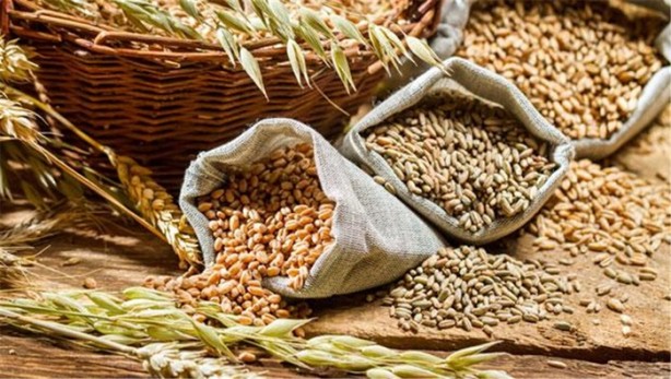 Foto - Tavuk derisini çöpe atmayın