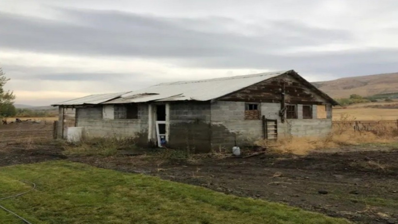 Foto - Tavuk kümesini eve çevirdi, şimdi ayda 75 bin liradan fazla kazanıyor! Yaptığı işi duyanlar ise şaşırıp kalıyor