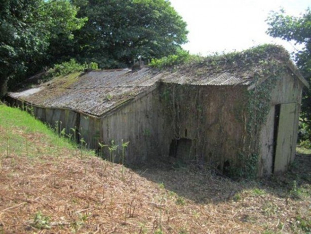 Tavuk kümesini otele çevirdi!