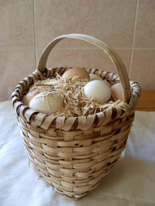 Foto - Tavuk yumurtası neden renklidir?