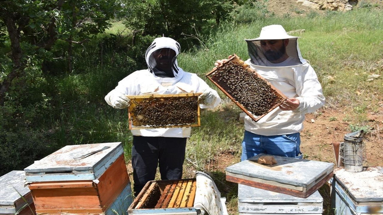 Foto - Tayin ile o şehre geldi, hayatı değişti! O ürünü yetiştiriyor, kargo ile bütün dünyaya gönderiyor! Çılgınlar gibi talep var