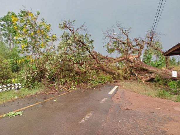 Foto - Tayland'ı şiddetli fırtına ve dolu vurdu