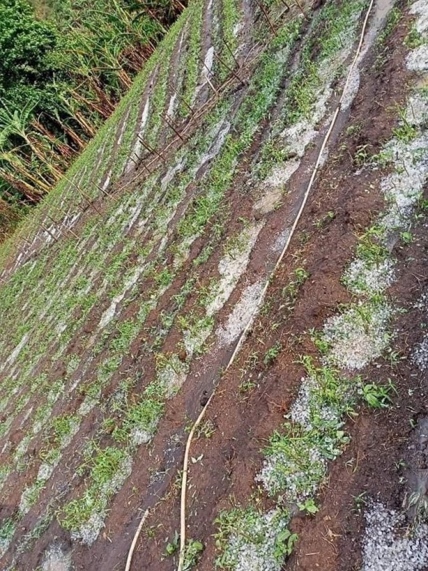 Tayland'ı şiddetli fırtına ve dolu vurdu