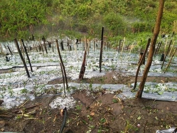 Foto - Tayland'ı şiddetli fırtına ve dolu vurdu