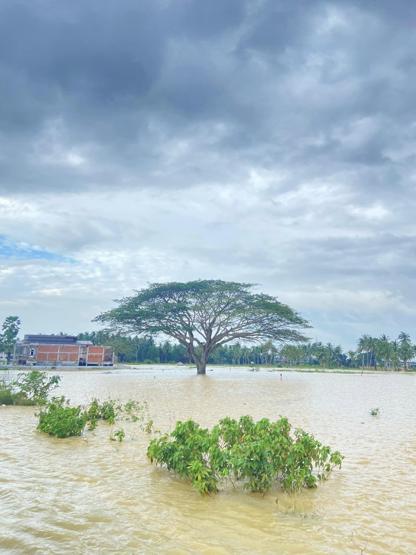 Foto - Tayland’ın felaketle boğuşuyor! 20 bin ev selden etkilendi