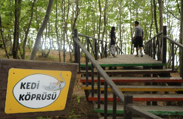 Foto - Taylandlılar Türkiye’de! Bu kasabayı görmek için Samsun’a geldiler