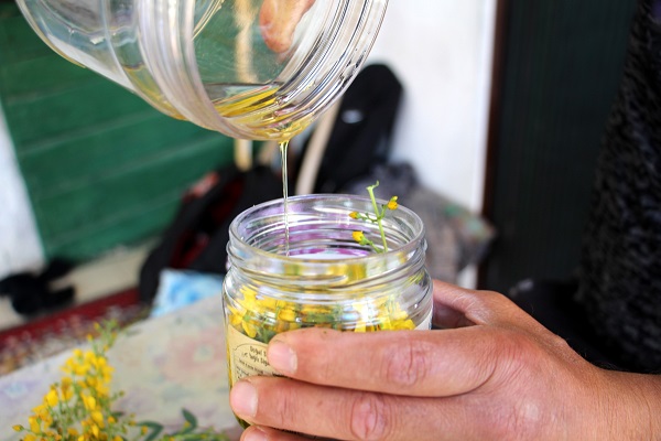 Foto - Tedavi başarısını yüzde 40 azaltıyor! Kanser hastaları bu bitkiyi evinize bile sokmayın