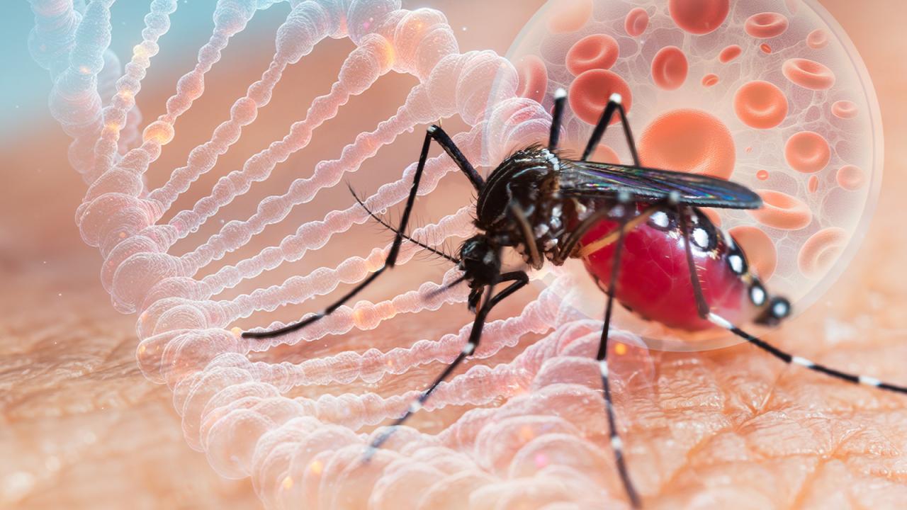 Foto - Tedavi yok, aşı yok! Türkiye'nin dibinde yayılan Batı Nil virüsü hakkında ne biliyoruz?