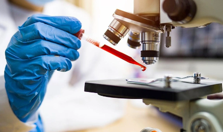 Foto - Tedavisi olmayan hastalıklar üzerine çalışan bilim insanlarına vatandaşlık verdiler