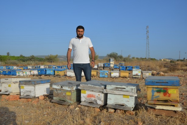 Foto - Tedirgin eden gelişme! Milyonlarcası öldü